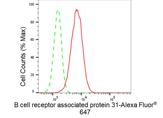 BCAP31 Antibody (23GB3680)
