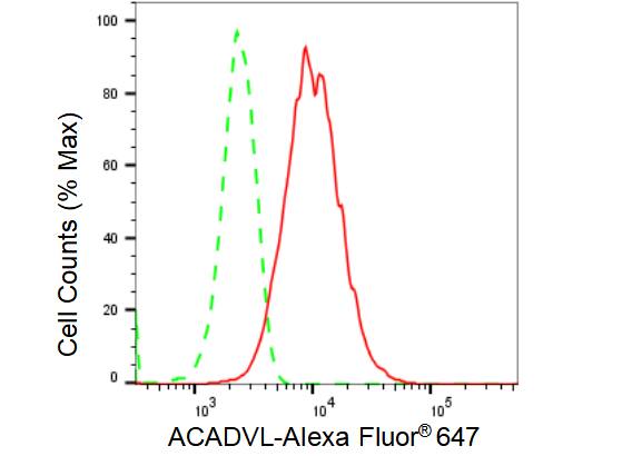 ACADVL Antibody (23GB3615)