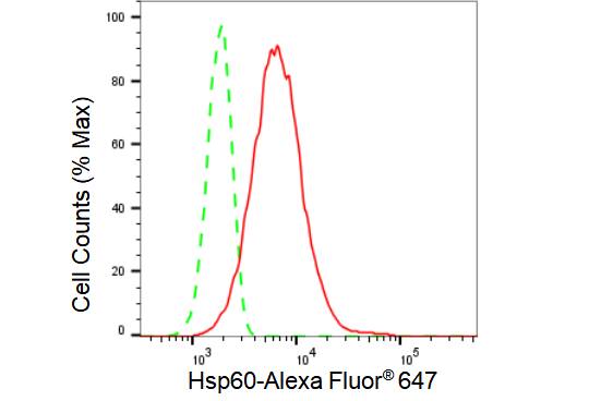 HSP60 Antibody (23GB2680)