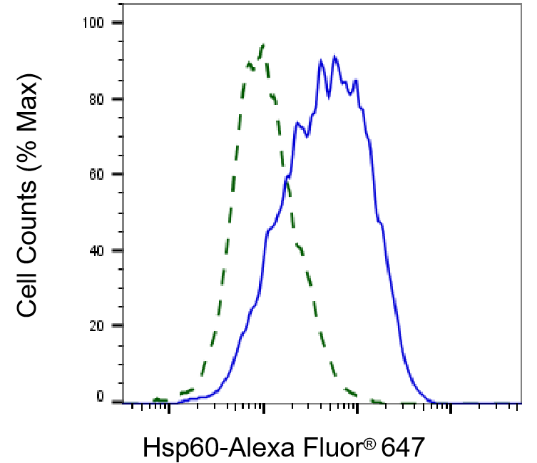 HSP60 Antibody (23GB2680)