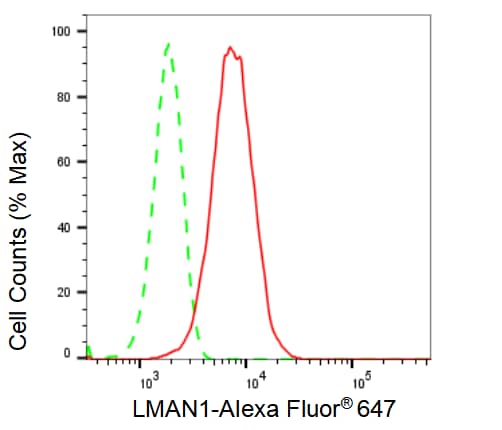LMAN1 Antibody (23GB2835)