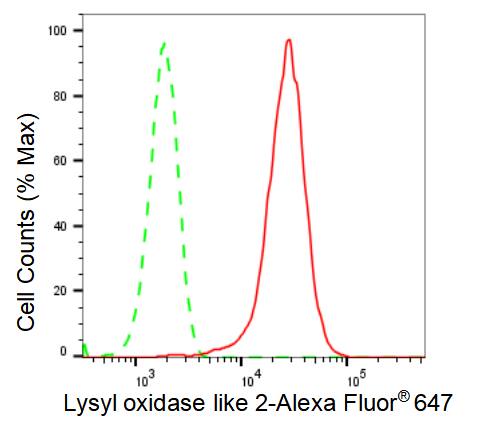 Lysyl Oxidase Homolog 2/LOXL2 Antibody (23GB2610)
