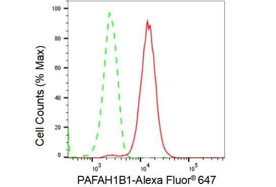 LIS1 Antibody (23GB2825)
