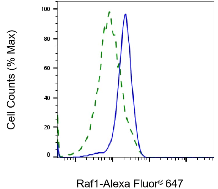 Raf-1 Antibody (23GB2700)