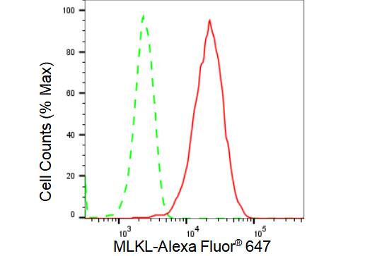 MLKL Antibody (23GB2935)