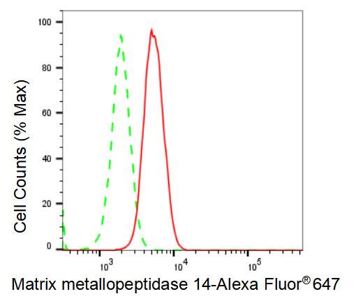 MMP-14/MT1-MMP Antibody (23GB2695)