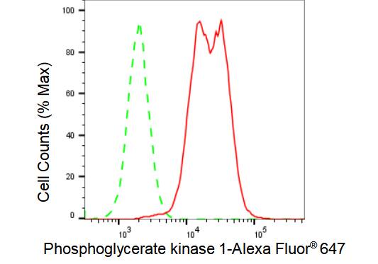 PGK1 Antibody (23GB2430)