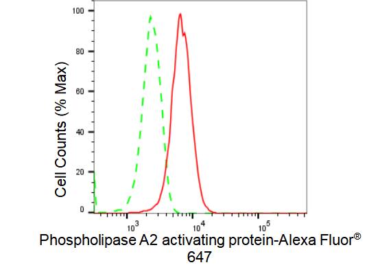 PLAP Antibody (23GB2560)