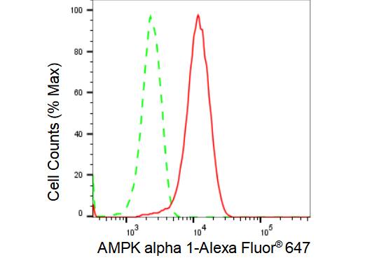 AMPK alpha 1 Antibody (23GB2685)
