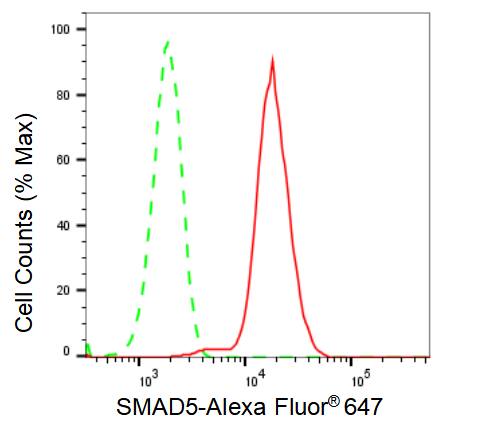 Smad5 Antibody (23GB2910)