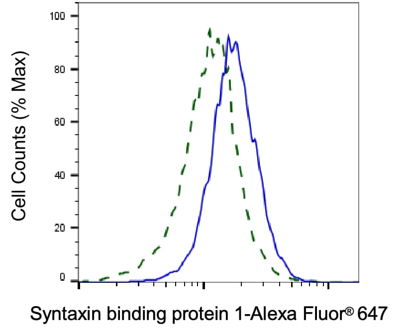 Syntaxin-BP1 Antibody (23GB2570)