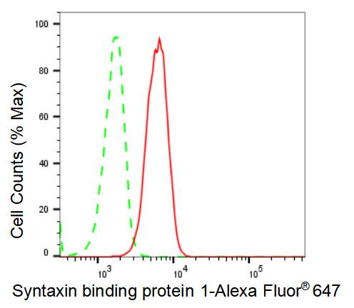 Syntaxin-BP1 Antibody (23GB2570)