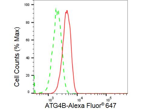 ATG4B Antibody (23GB3240)