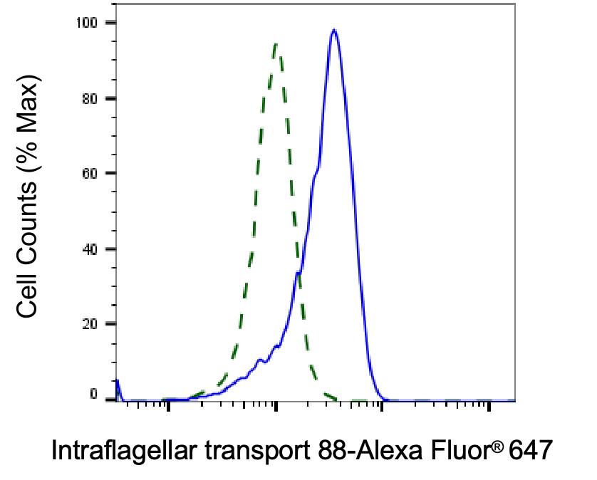 IFT88 Antibody (23GB4015)