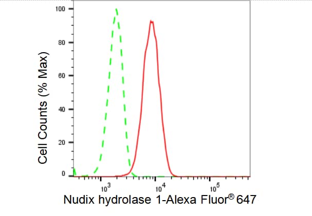 MTH1 Antibody (23GB4060)