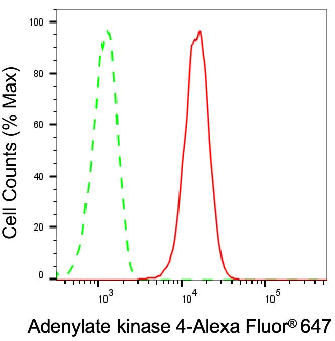 AK3L1 Antibody (23GB4755)