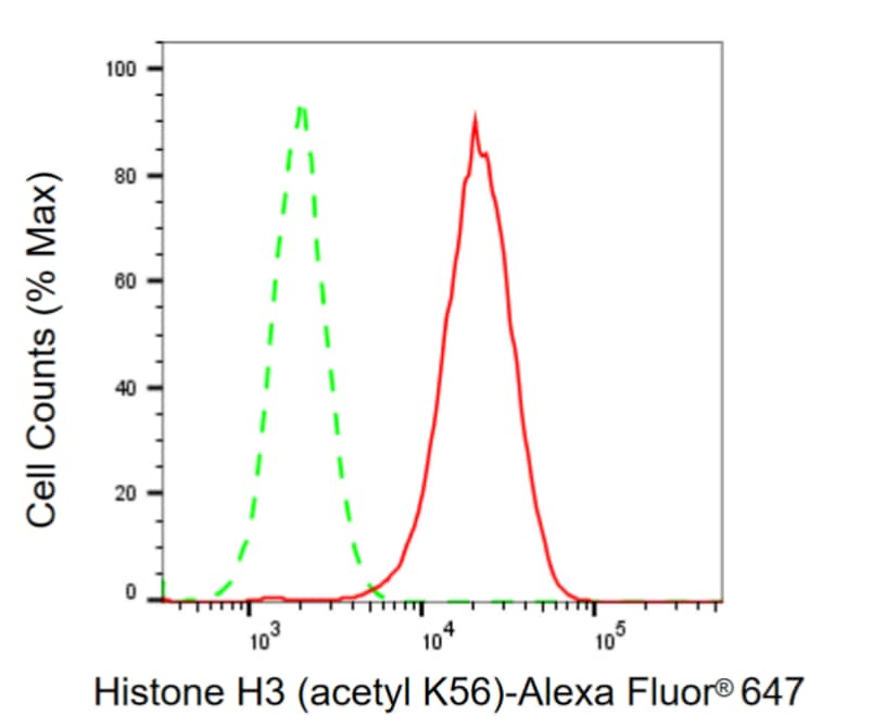 Histone H3 [ac Lys56] Antibody (23GB4395)