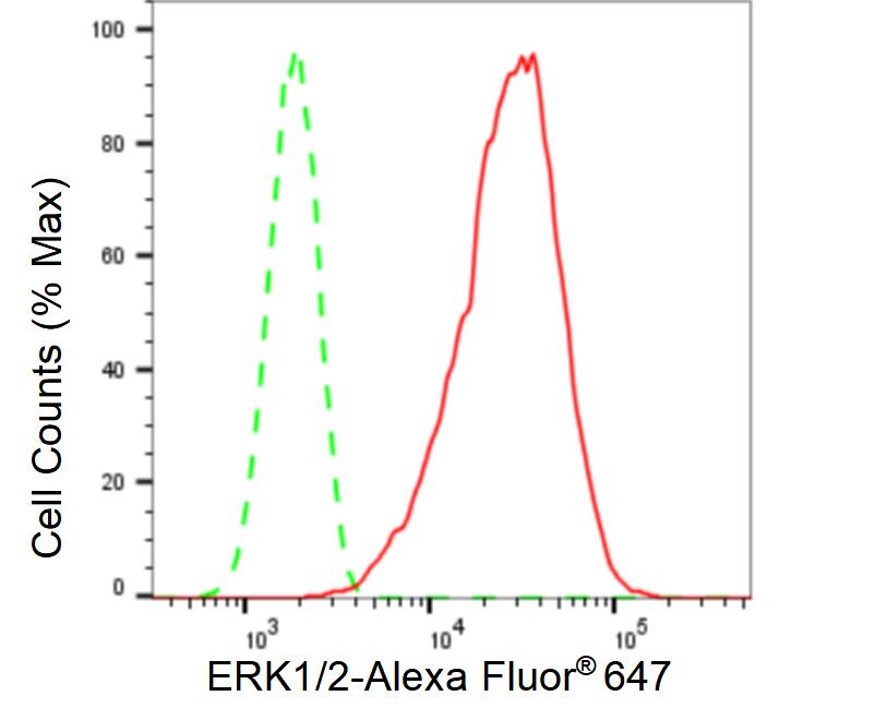 ERK1/2 Antibody (23GB4510)