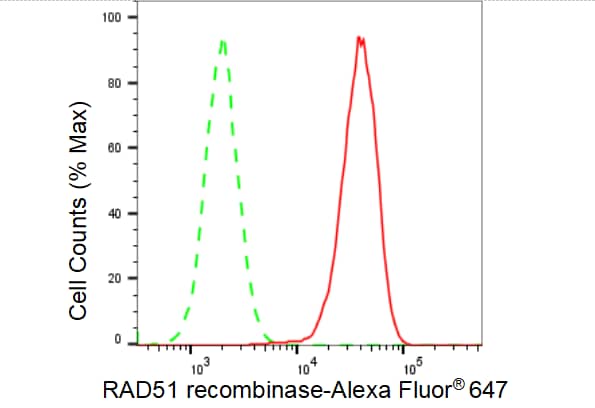Rad51 Antibody (23GB4600)