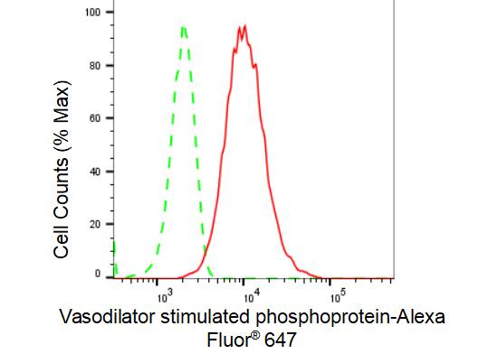 VASP Antibody (23GB4715)