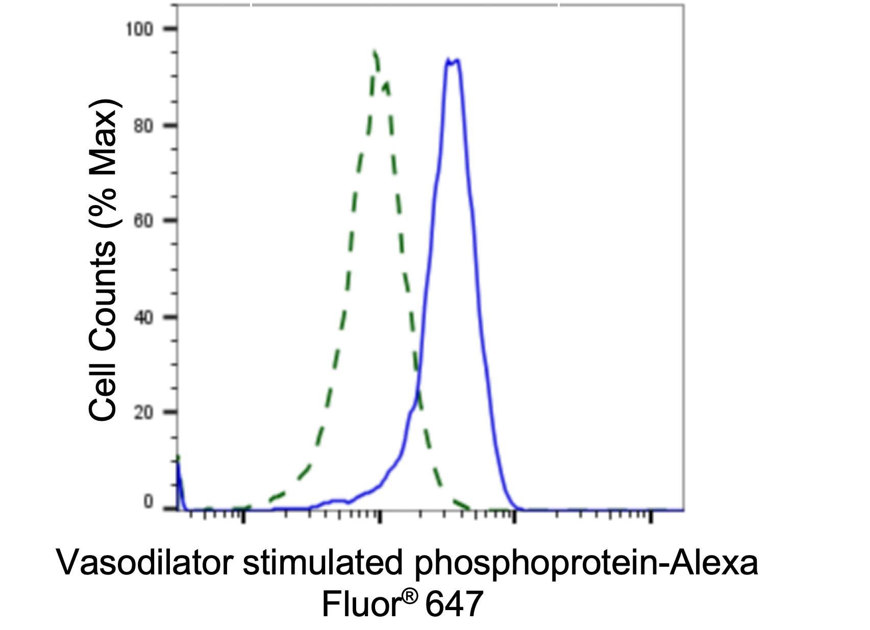 VASP Antibody (23GB4715)