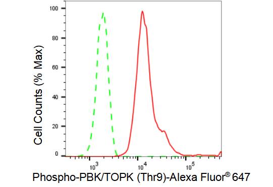 PBK [p Thr9] Antibody (23GB4910)