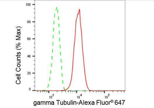 gamma Tubulin Antibody (23GB4805)