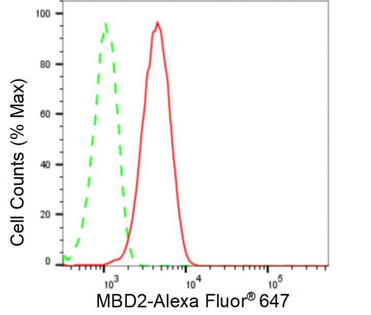 MBD2 Antibody (24GB460)