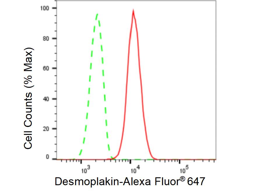 Desmoplakin Antibody (23GB5220)