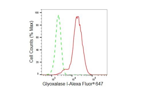 Glyoxalase I Antibody (23GB5555)