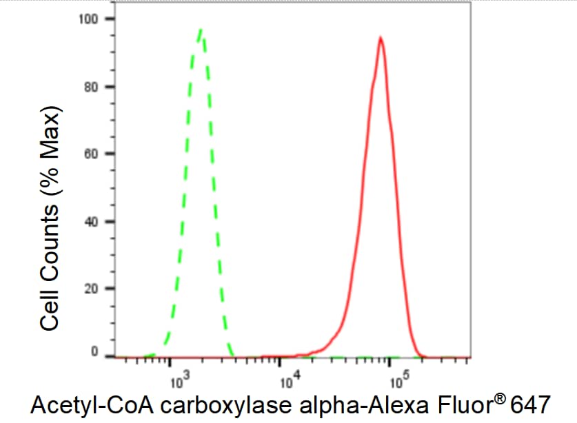 Acetyl-CoA Carboxylase alpha/ACACA Antibody (23GB5645)