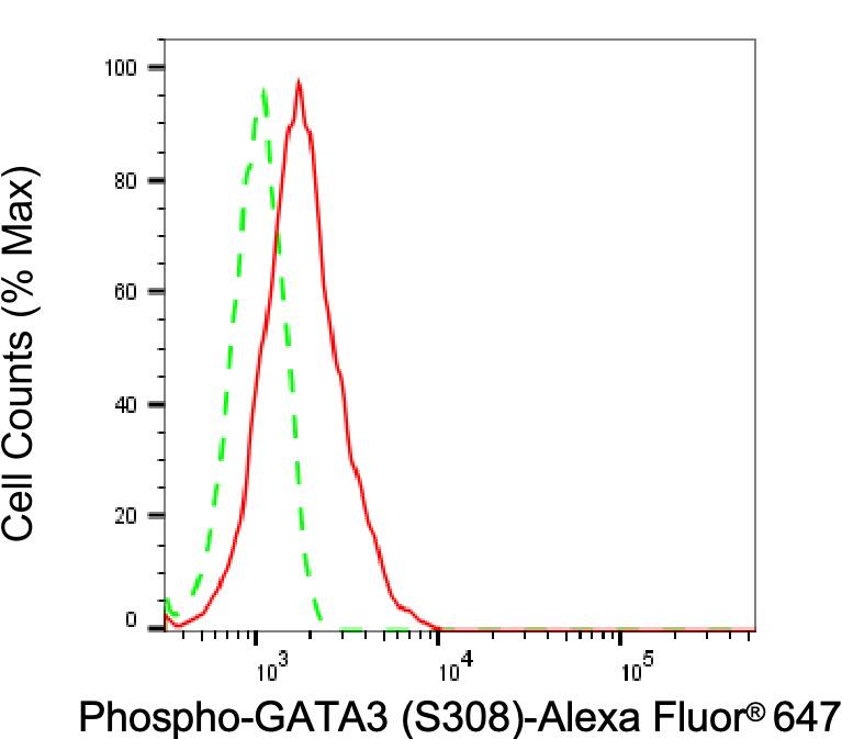 GATA-3 [p Ser308] Antibody (23GB2360)