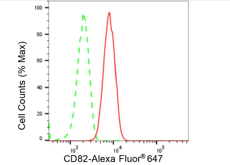 CD82/Kai-1 Antibody (23GB5795)