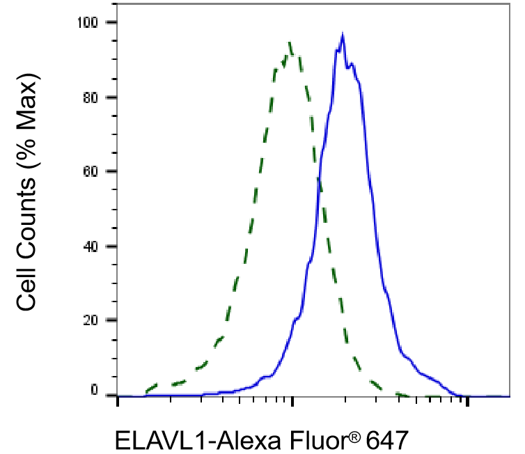 HuR/ELAVL1 Antibody (23GB5815)