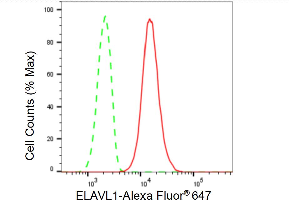 HuR/ELAVL1 Antibody (23GB5815)