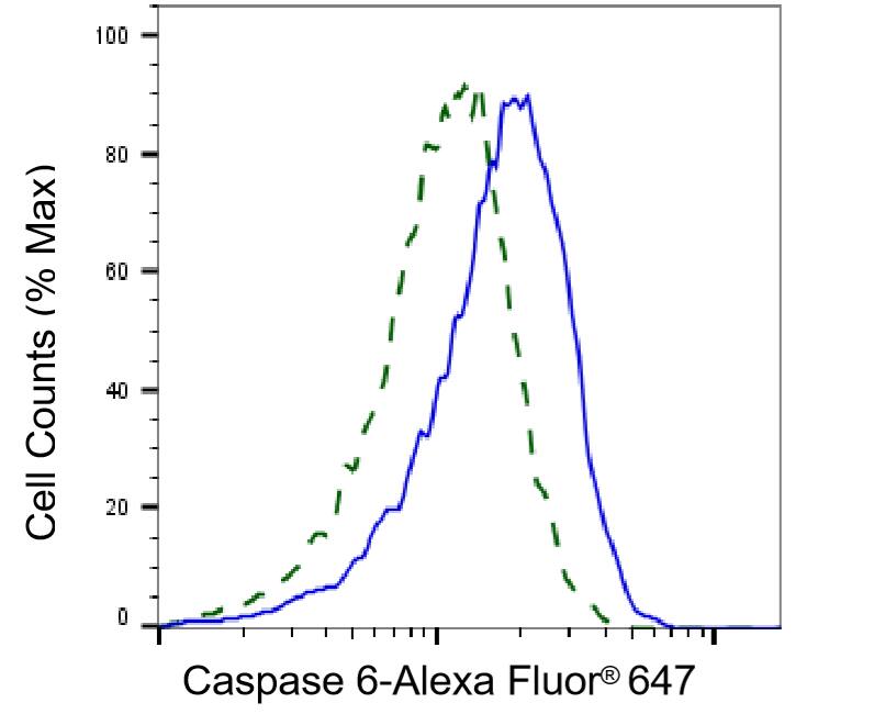 Caspase-6 Antibody (23GB1225)