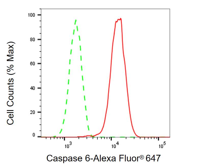 Caspase-6 Antibody (23GB1225)