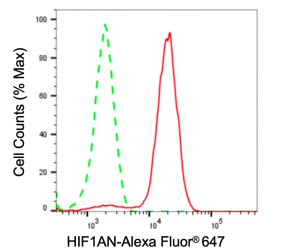 FIH-1/HIF-1AN Antibody (23GB6385)