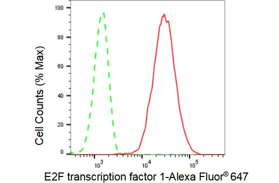 E2F-1 Antibody (23GB1505)