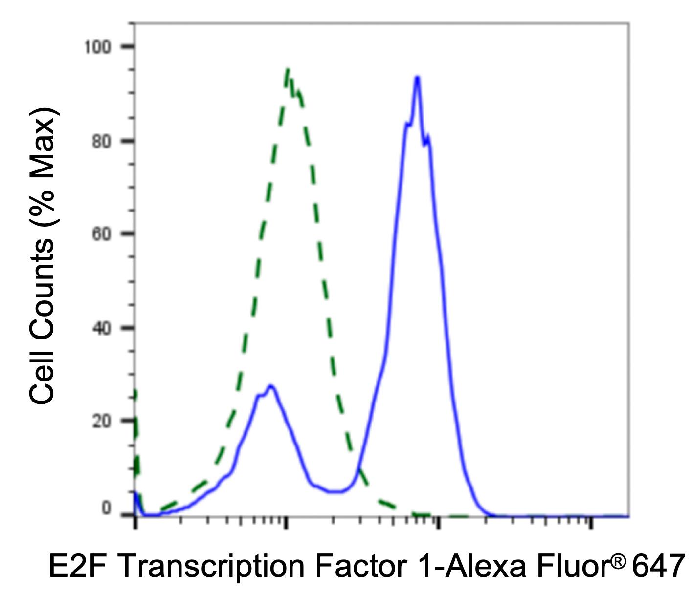 E2F-1 Antibody (23GB1505)