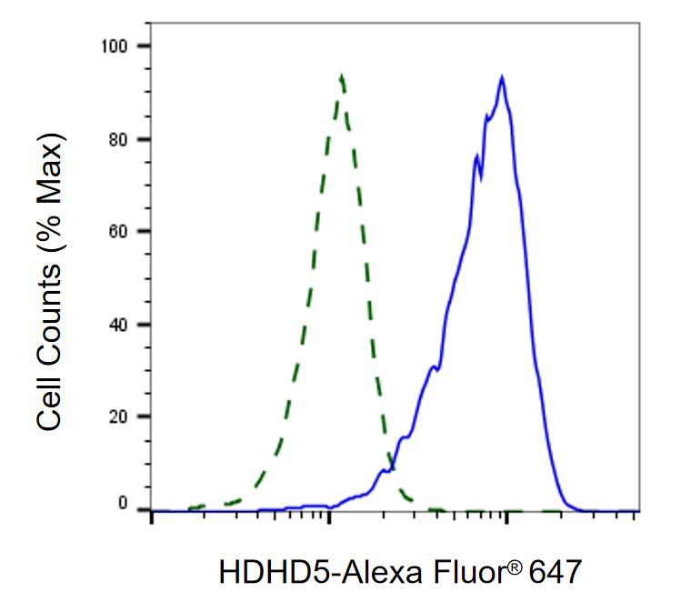 CECR5 Antibody (23GB6585)