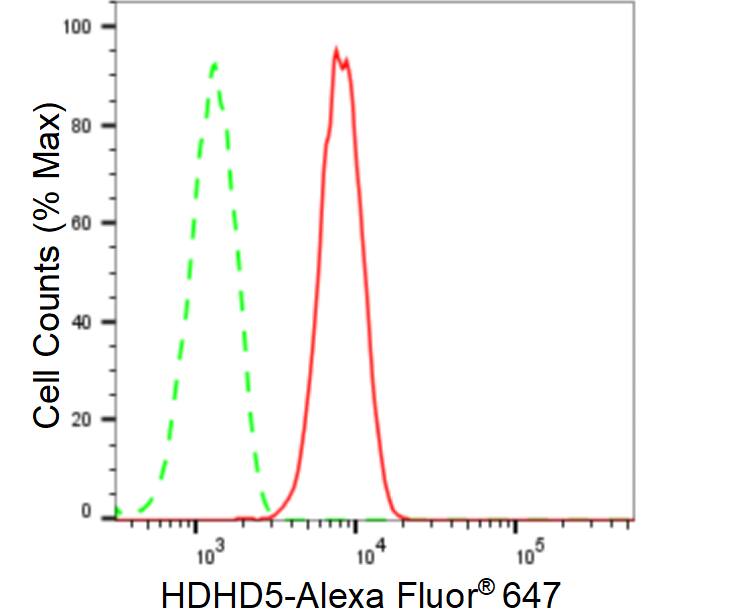 CECR5 Antibody (23GB6585)