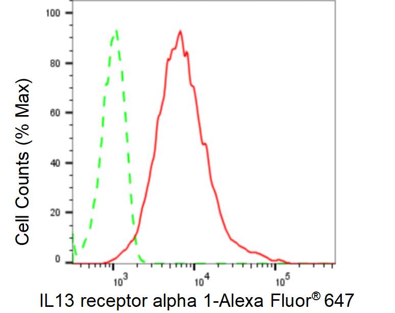 IL-13R alpha 1 Antibody (23GB6655)