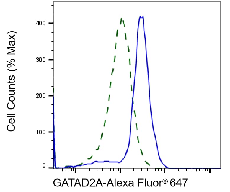 p66 alpha Antibody (23GB5685)