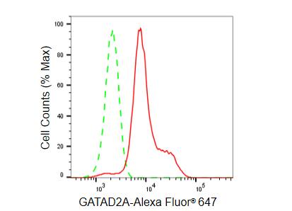 p66 alpha Antibody (23GB5685)