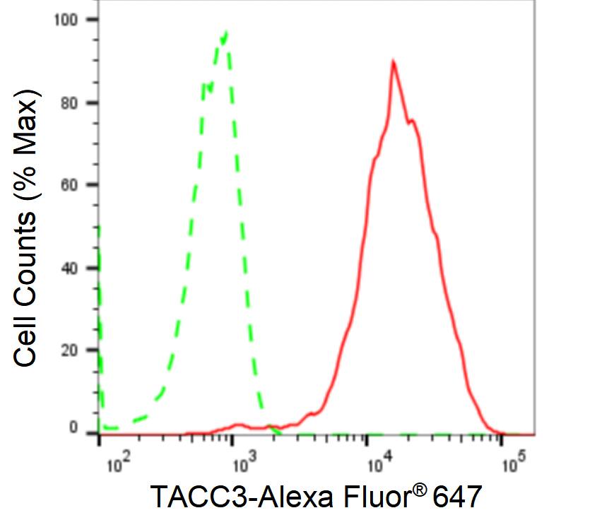 TACC3 Antibody (24GB1940)