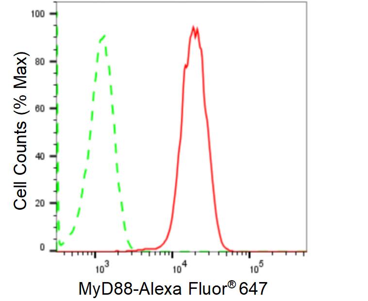 MyD88 Antibody (24GB240)