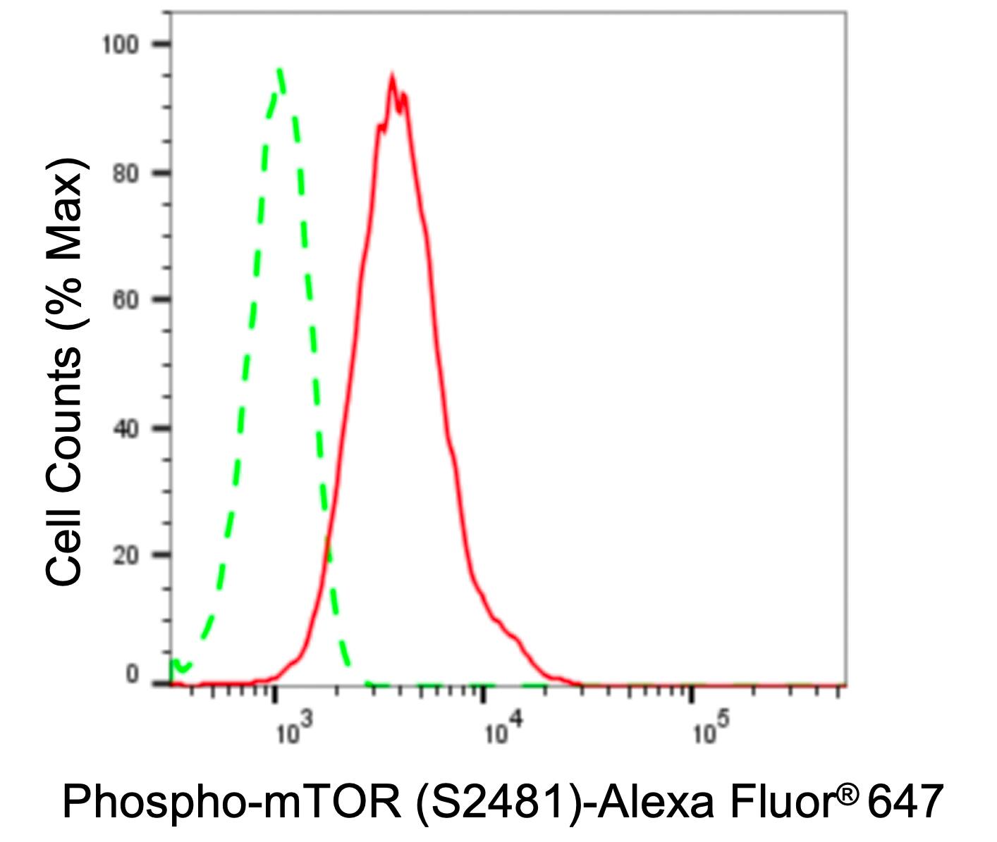 TOR/mTOR [p Ser2481] Antibody (24GB325)