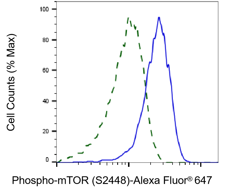 TOR/mTOR [p Ser2448] Antibody (24GB330)