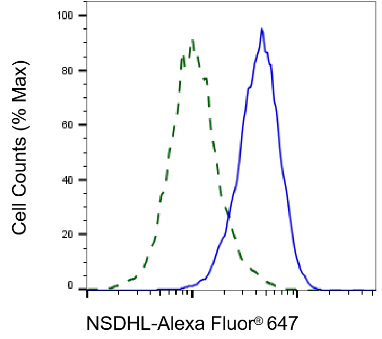 NSDHL Antibody (24GB485)